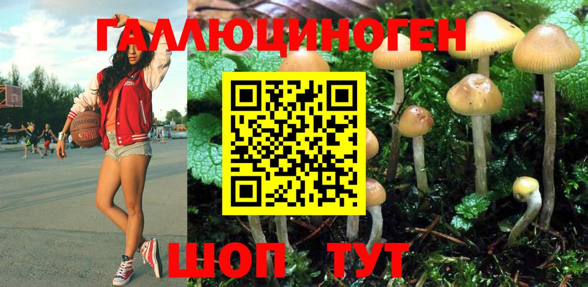 Псилоцибиновые грибы прущие грибы Ярцево
