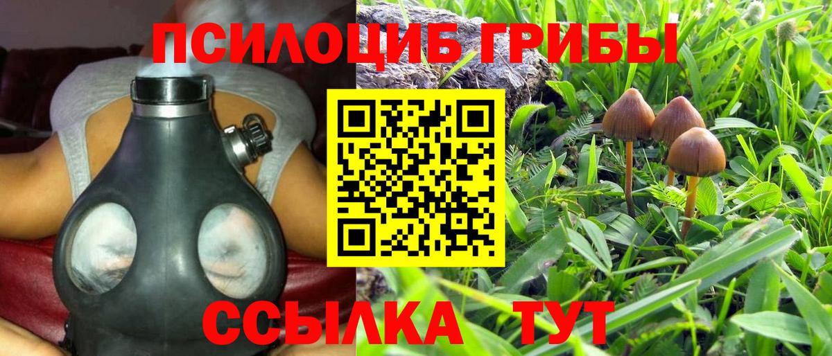 Ярцево  Галлюциногенные грибы GOLDEN TEACHER  Вход с VPN 