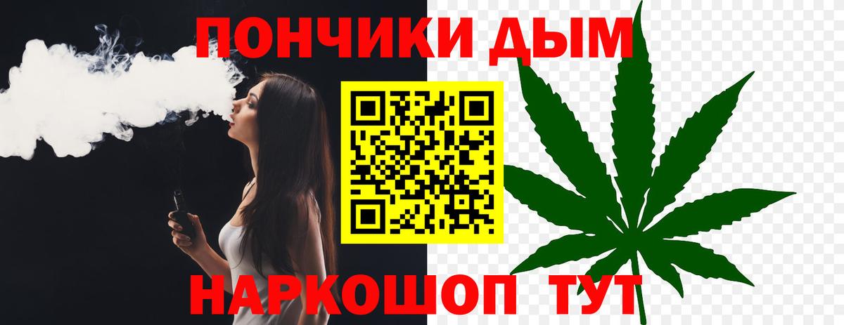 Конопля сатива Ярцево